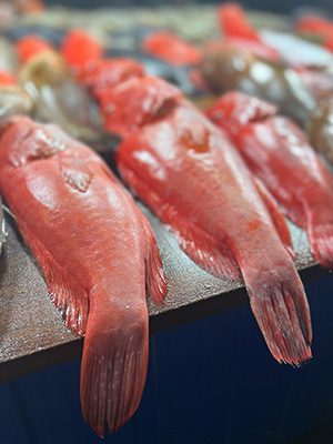 The Best Food In Sri Lanka To Eat (Including 5 Easy Recipes!) 4 3 fresh red snapper on a bench with a blurred background