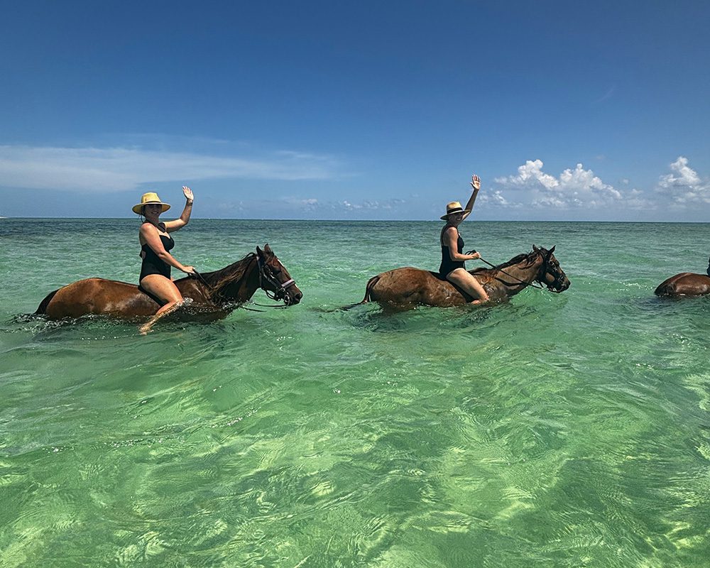 15 Amazing Hidden Gems To Discover In Grand Cayman 5 Horse Swim in Grand Cayman