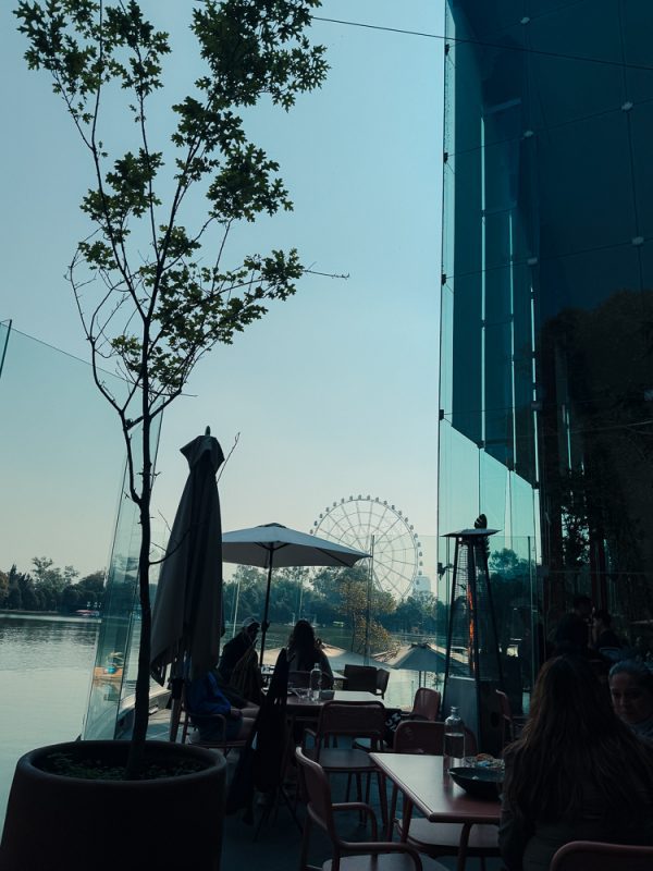 The Best Restaurants In Mexico City That Aren’t In The Usual Food Guides 9 Lago Algo
